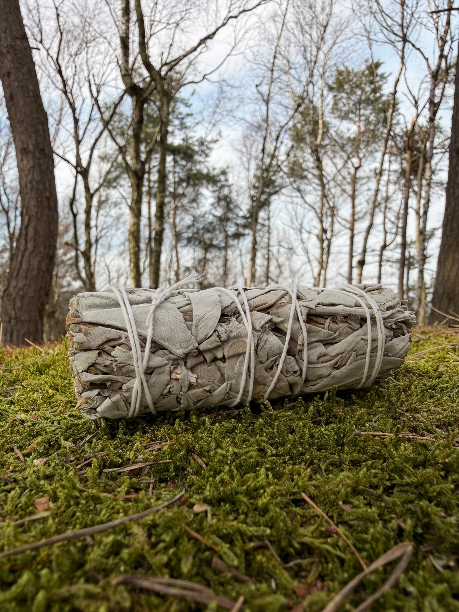 Bílá šalvěj – přírodní vykuřovací svazek