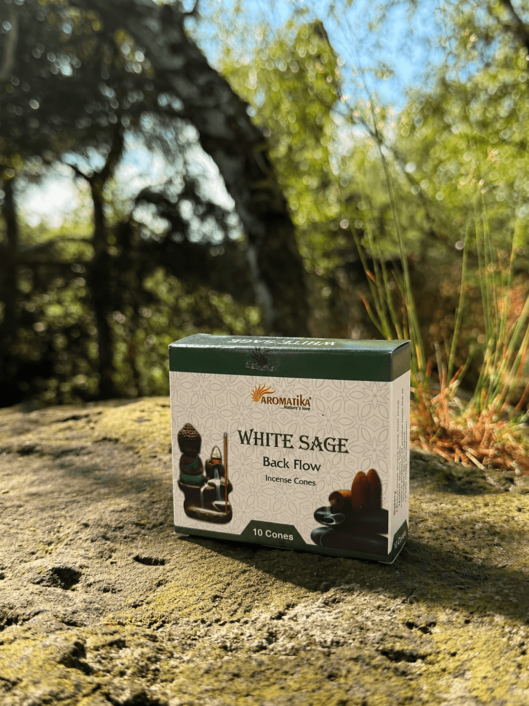 Aromatika Vonné Kužele – Bílá Šalvěj (10 ks)