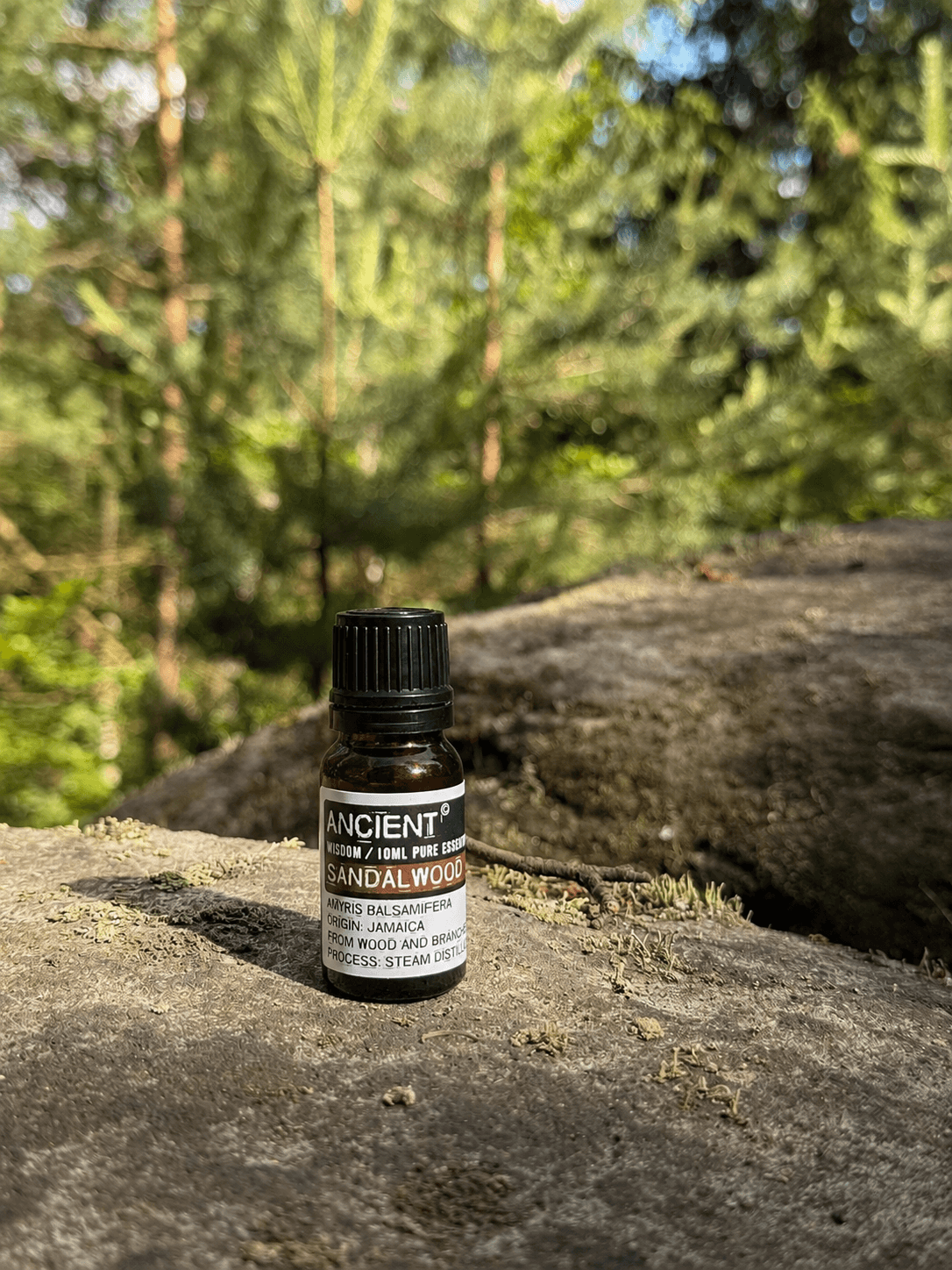 Éterický Olej – Santalové Dřevo 10 ml