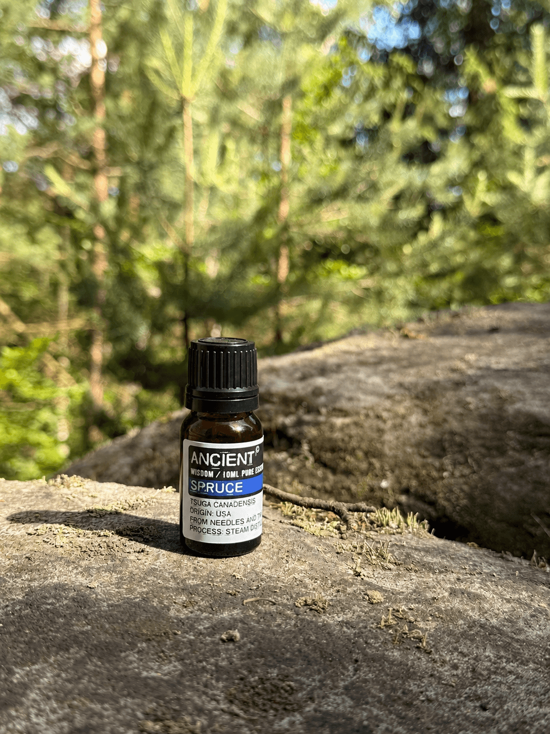 Éterický Olej – Smrk 10 ml