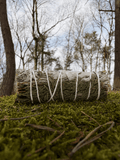 Vykuřovací svazek – White Sage & Cedar