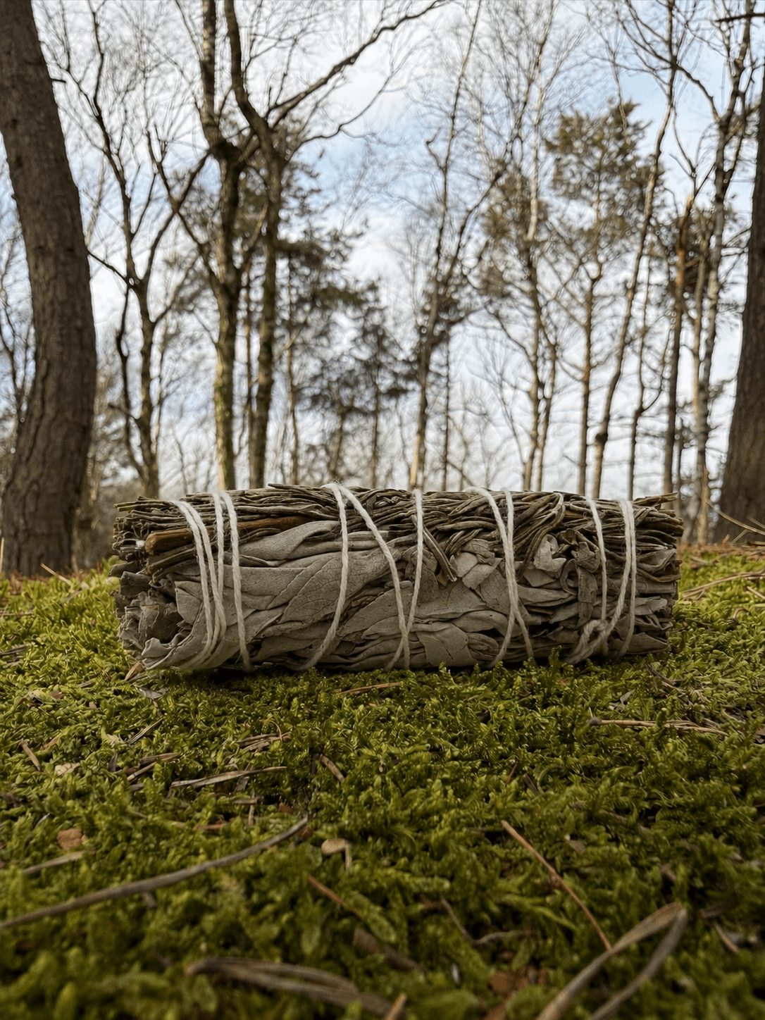 Vykuřovací svazek – White Sage & Rosemary